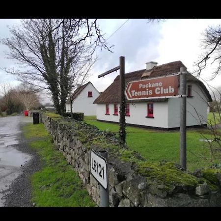 Thatcted Cottages Lough Derg Dromineer Zewnętrze zdjęcie